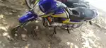 PASSION PLUS IN BEST CONDITION