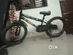 Mint condition cycle