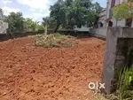 Near 50 mtr from Christ School