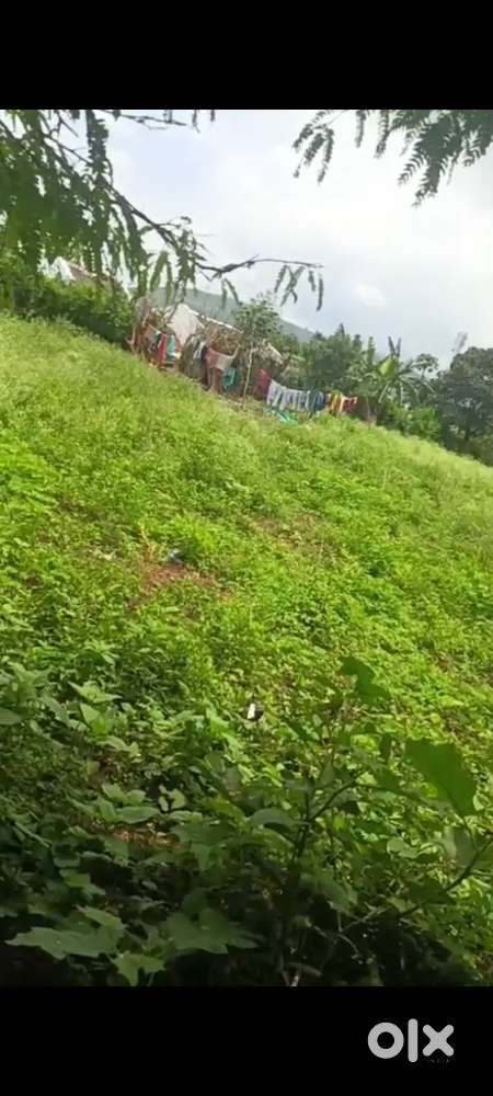 Antharla village land for sale