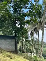 Near kakkadampoil