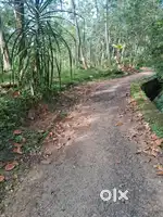 இடம் வேற்பனைக்கு