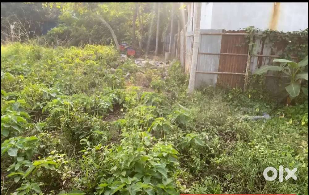 বকুলপুর বাজার থেকে ২০০ মিটার দূরত্ব বাজার হইতে সর্বসুবিধা যুক্ত