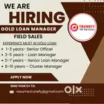 Gold Loan Manager( Field Sales)
