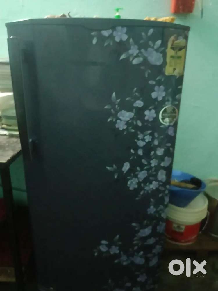 Godrej 224 L