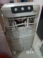 Cooler mango