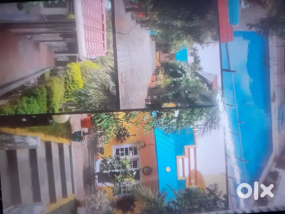 Need southindian cum Chinese cook for resort