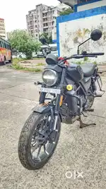 Harley Davidson 2024 model