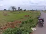 1 Acre 7 Gunta Agriculture Land for Sale