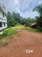 Plot for sale at Kakkanad kalamssery near nuals