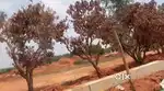 Sites at Devanahalli, gated community. 4kms from Airport Road