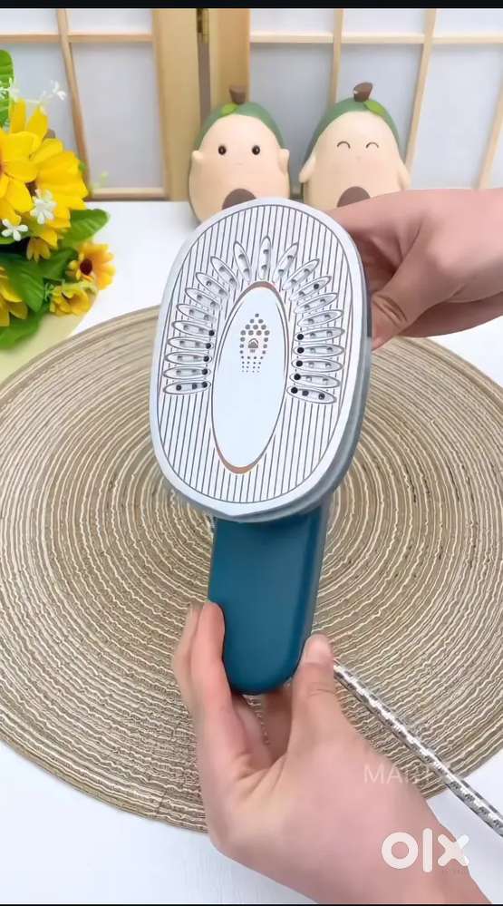 Handheld Steam Iron (Dry & Wet Use)