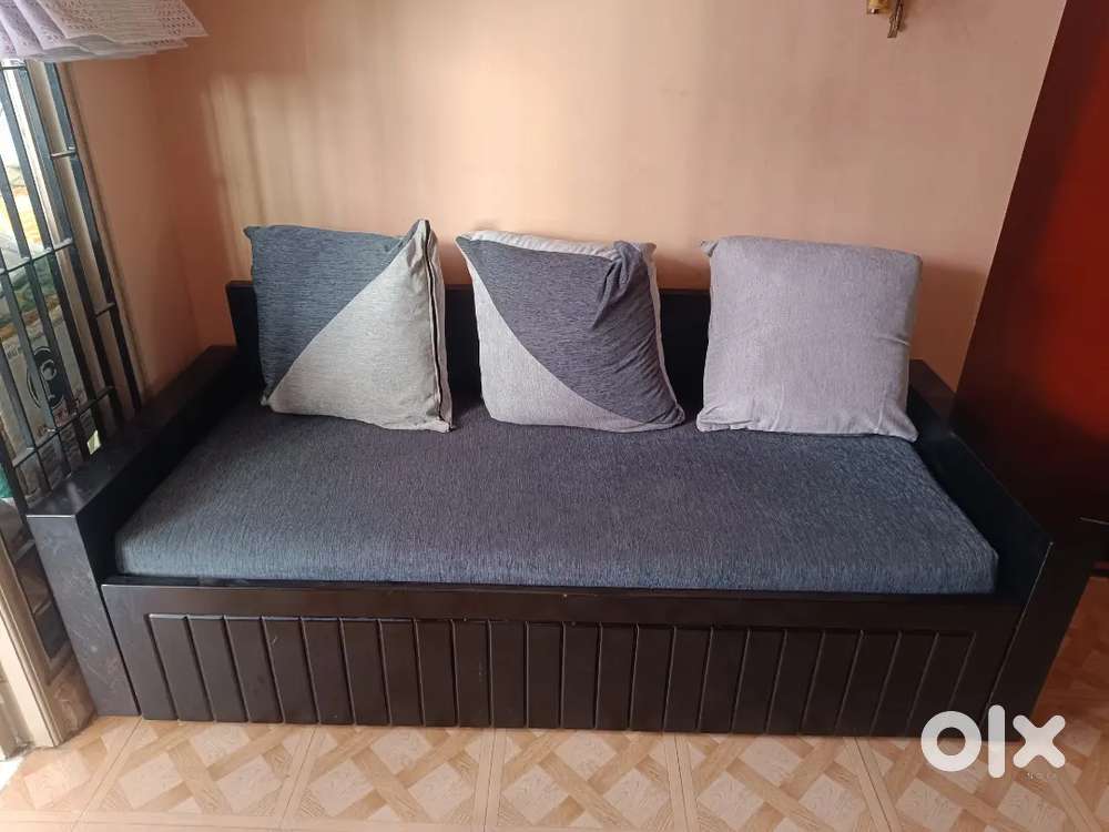 Sofa cum Bed