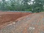 Allapra Valayachirangara House Plot.