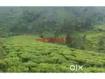 22 cents agricultural land for sale near Kotagiri