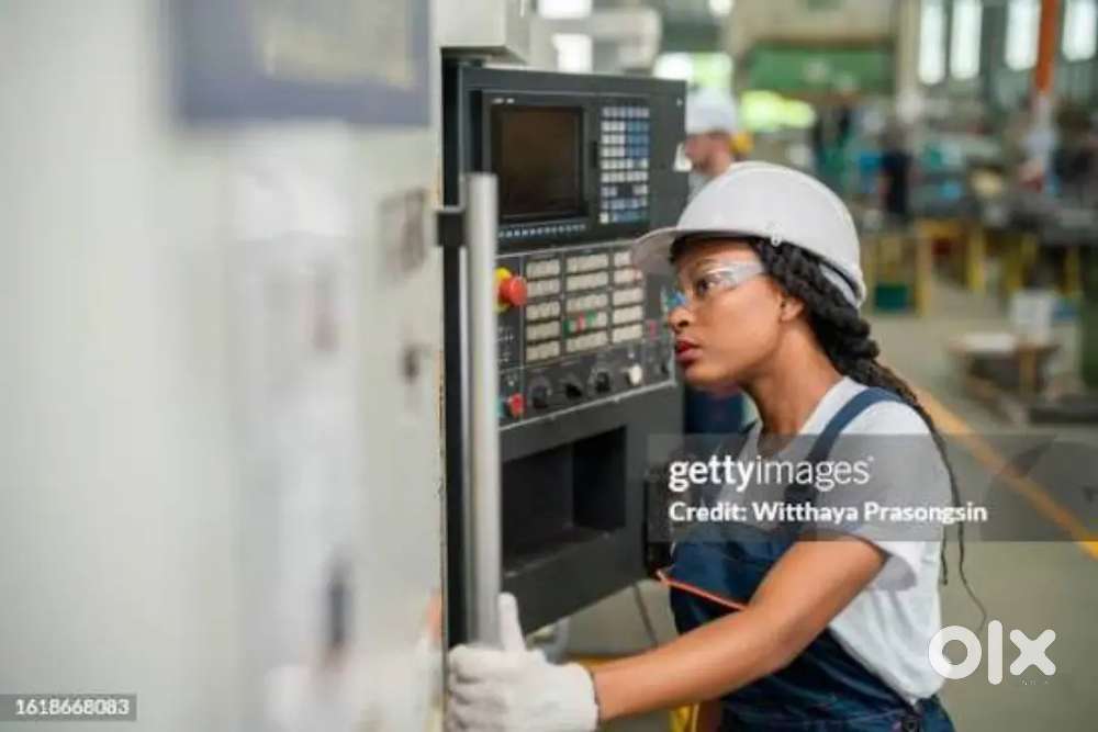 We are hiring job's for freshers