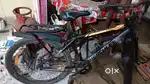 Street Cat Bicycle.