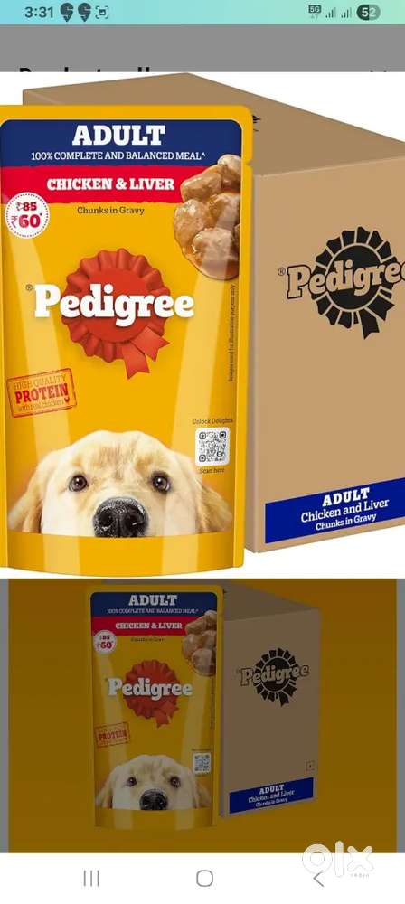 Pedigree Adult Wet Dog Food, Chicken & Liver in Gravy,130 g Pack of 12