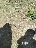 3canal agriculture land for sale