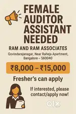AUDITOR ASSISTANT