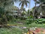 5.22 Cents plot for sale in Panniyankara, 13 Lakhs per cent Negotiable