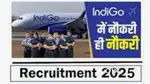 Indigo airlines Hiring Male & female Candidates Job in Near by Airport