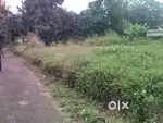 കോതമംഗലം matherappele 20സെന്റ് 2.75ലക്ഷം വില 20സെന്റ്