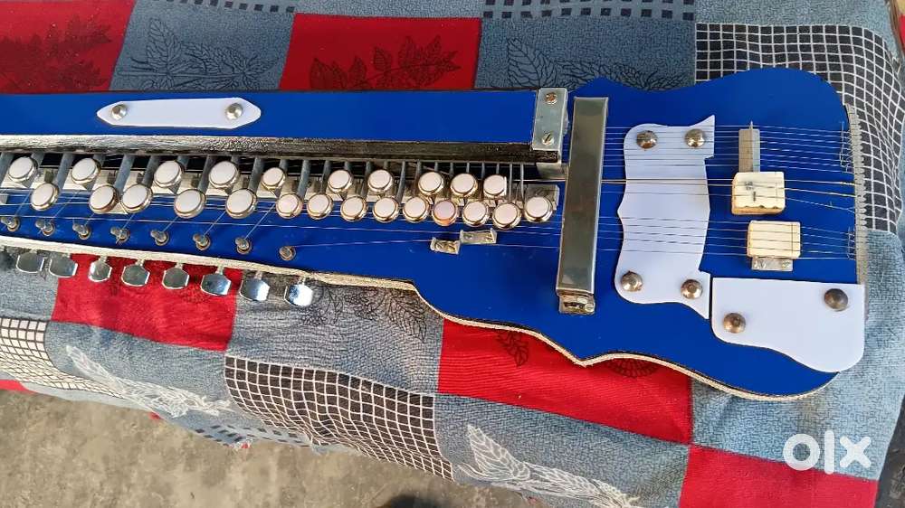 3 types of Banjo 29/31 rid swarmandal