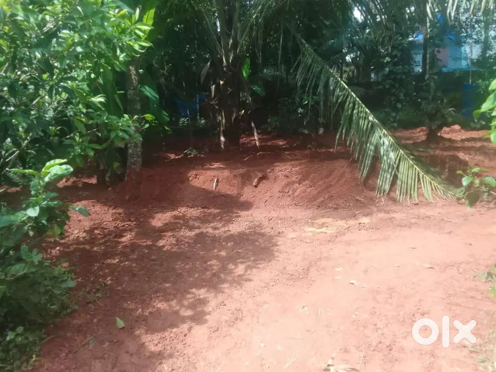 സ്ഥലം വില്പനയ്ക്ക്, പനങ്കാവ്.