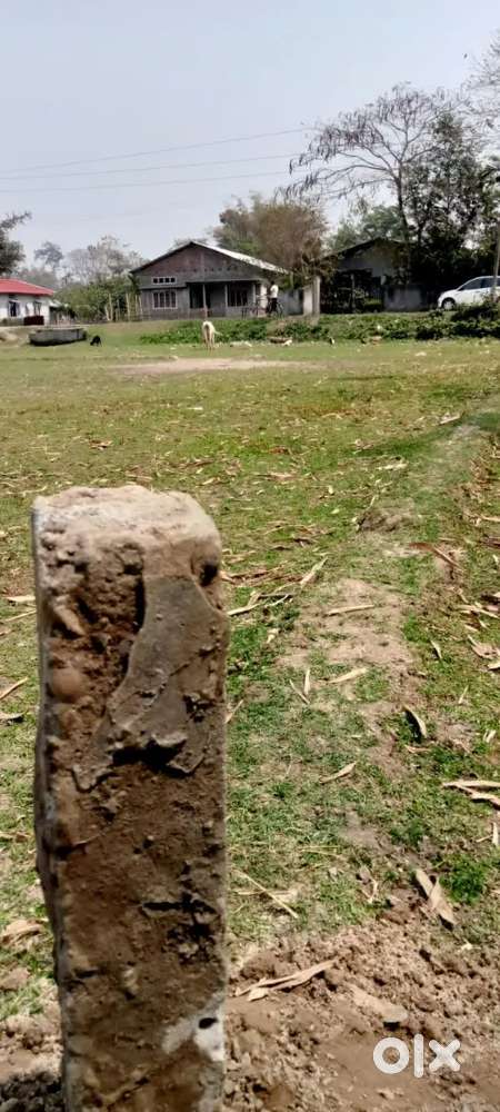 3 bigha miyadi Land  sell at sootea charaijania gaon