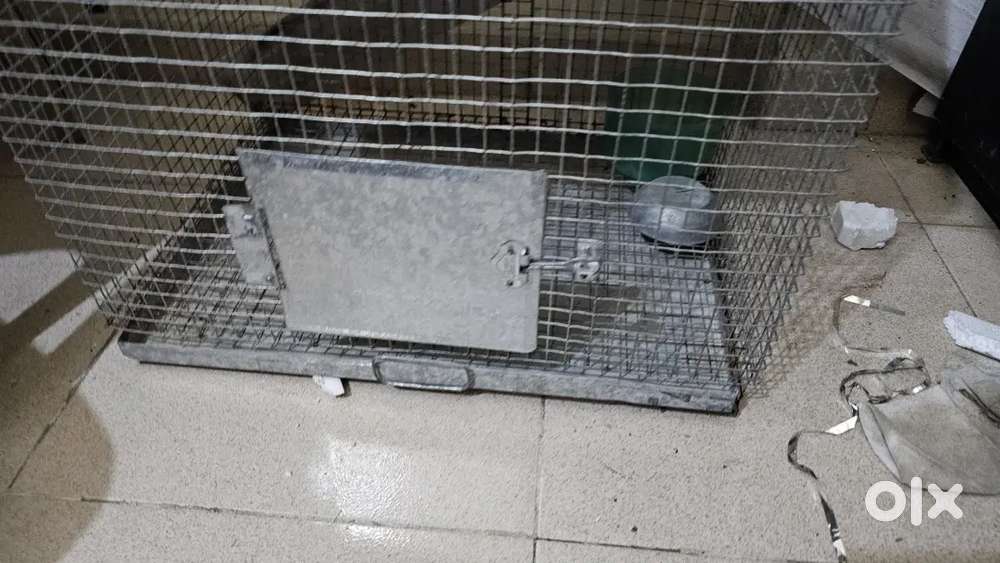 Rabbit Cage, Cage