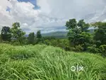 1 ACER LAND FOR SALE WITH MOUNTAIN VIEW @WAYANAD