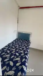 Need a Girl Flatmate