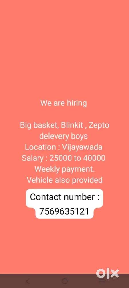 Big basket, zepto, Blinkit