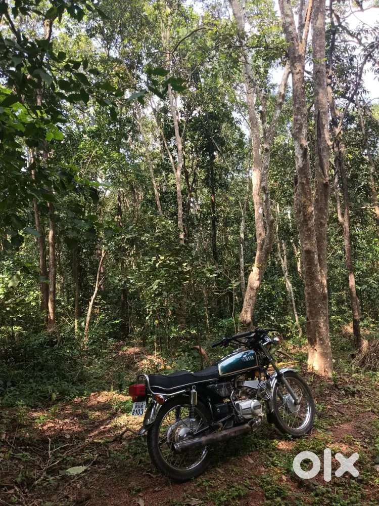 RX 135 for sale 75000