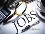 Urgent requirement: Reception // sales // calling