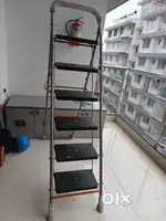 Parasnath ladder