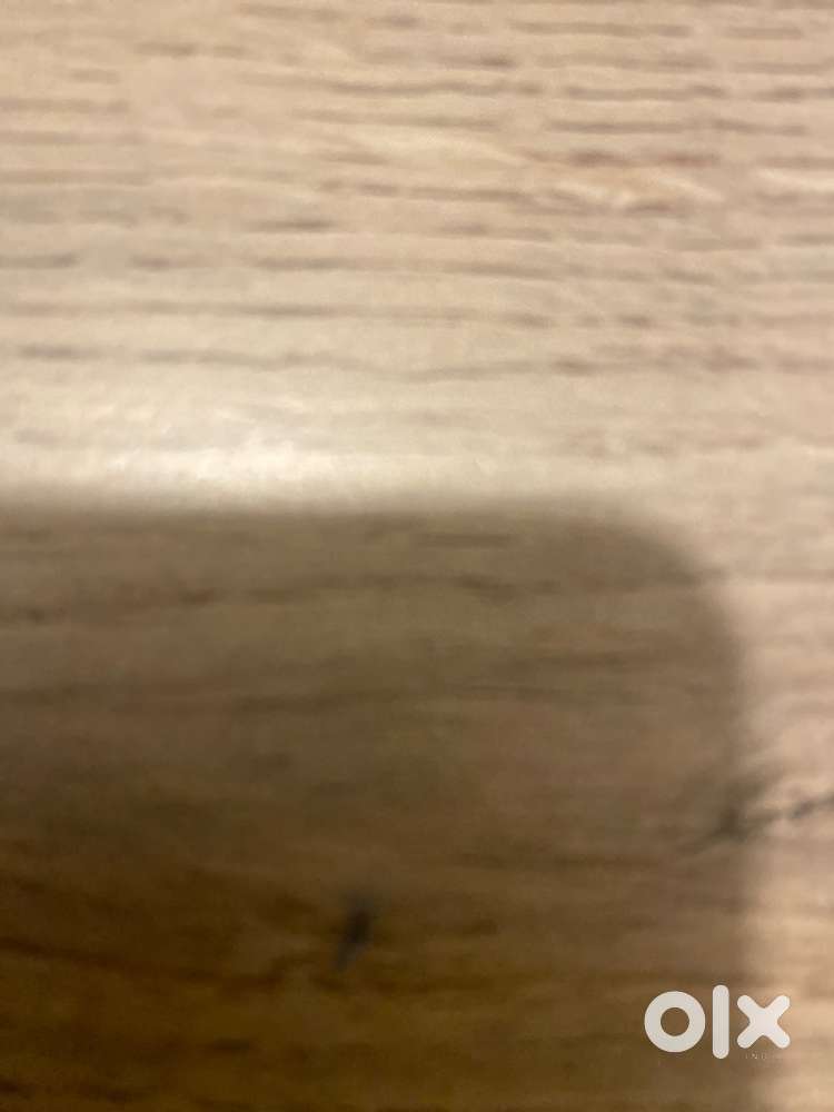 Grafic designer for card designing