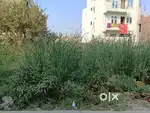 Residential plot for sell