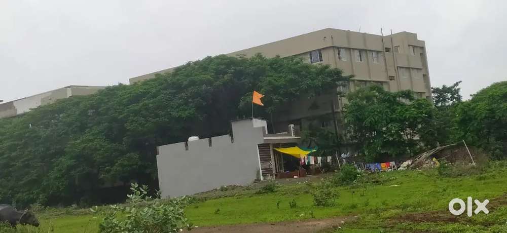 रातीबड़ मे 1250 sq.ft प्लॉट बेचना है , 600 ₹ के रेट से