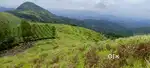 Vagamon Malayilputhuvel 5 AC LA pattayam land for sale Tea View