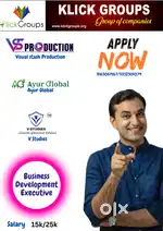Business Development Executive