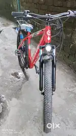 Electric cycle