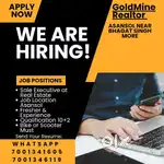 Sale and marketing job in real estate