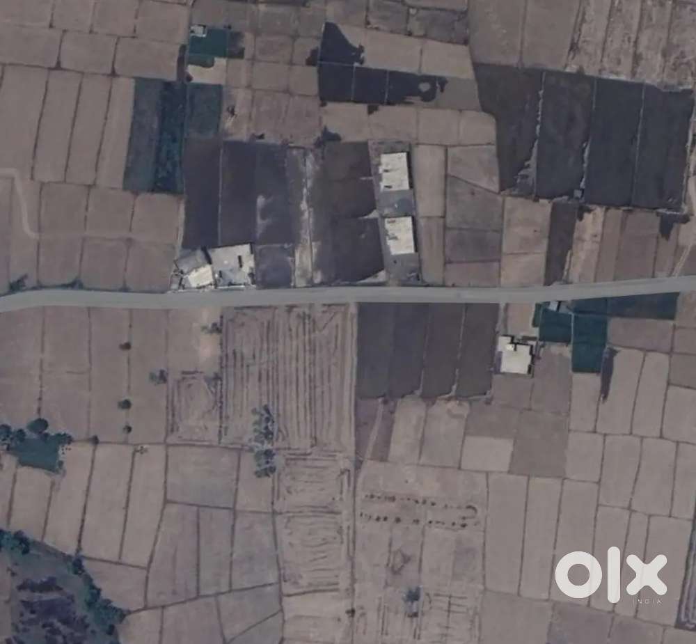 Chauhan property 13.5 Biswa