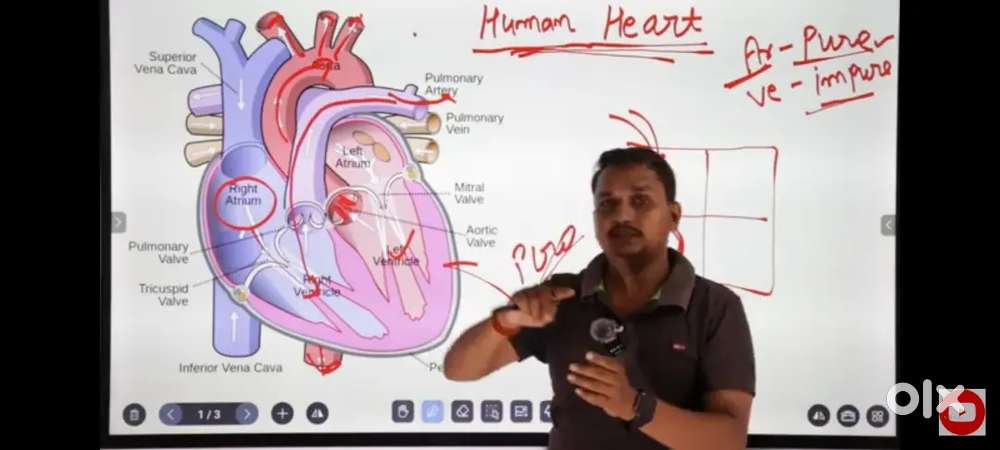 Smart board for teaching 75