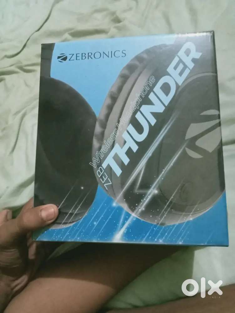 zebronics zeb  thunder