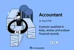 Junior Accountant