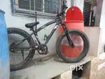 Bicycle 2024