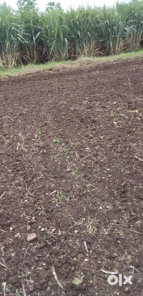 Agricultural land in a premium location